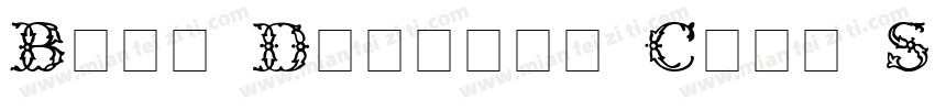 Boya Display Caps SSi字体转换